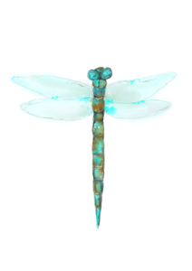 Illustration LIBELLE